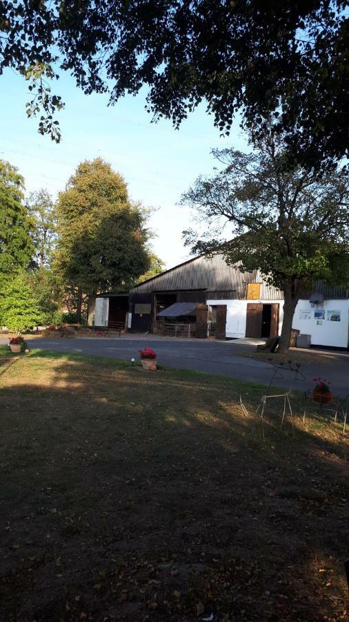 Ferienhof Papiermuehle Hofgeismar Exterior photo